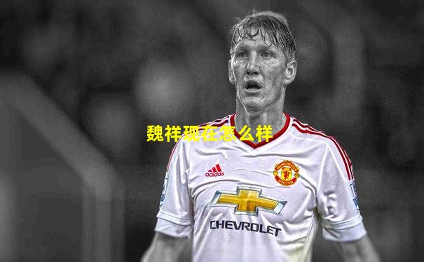 魏祥现在怎么样