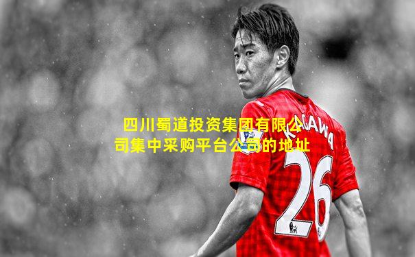 四川蜀道投资集团有限公司集中采购平台公司的地址