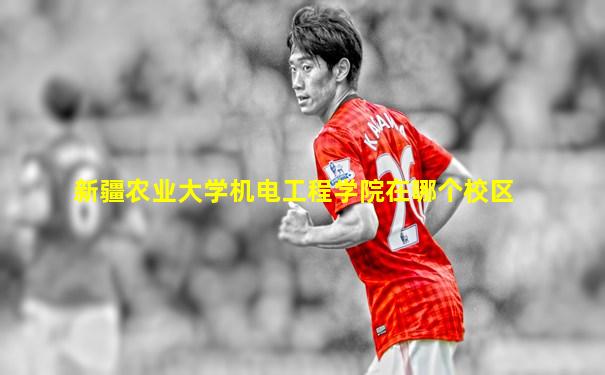 新疆农业大学机电工程学院在哪个校区