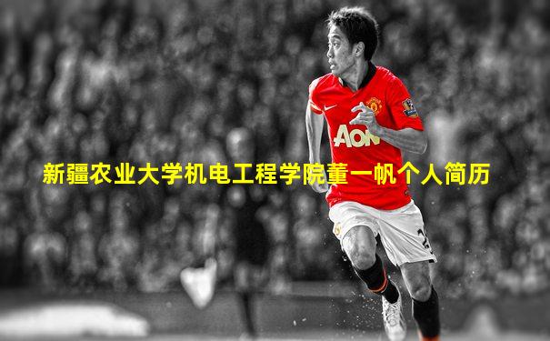 新疆农业大学机电工程学院董一帆个人简历