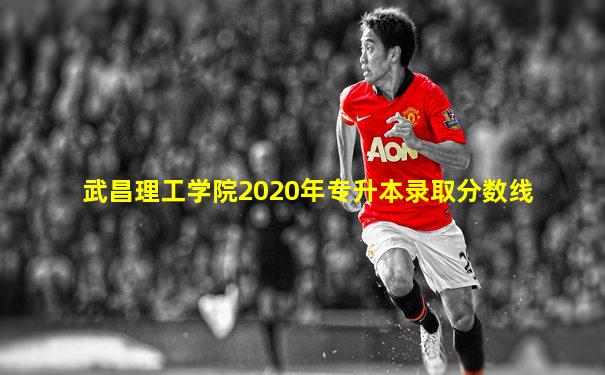 武昌理工学院2020年专升本录取分数线