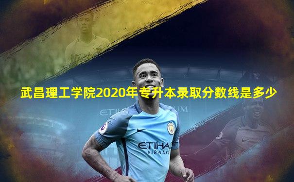 武昌理工学院2020年专升本录取分数线是多少