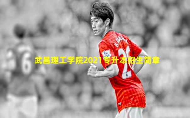 武昌理工学院2021专升本招生简章
