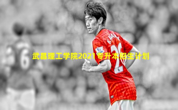 武昌理工学院2021专升本招生计划