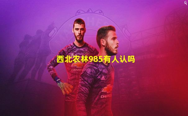 西北农林985有人认吗