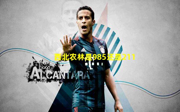 西北农林是985还是211