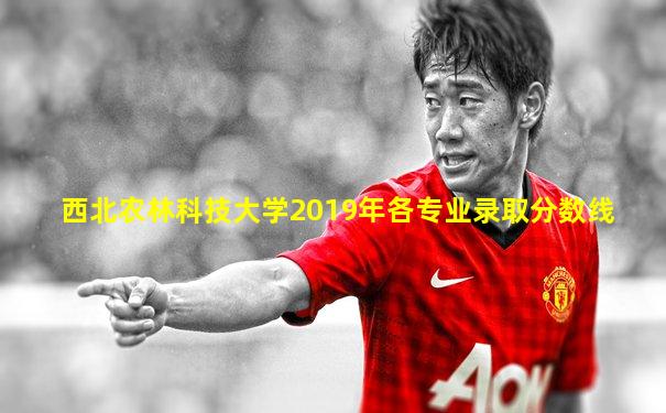 西北农林科技大学2019年各专业录取分数线