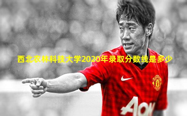 西北农林科技大学2020年录取分数线是多少