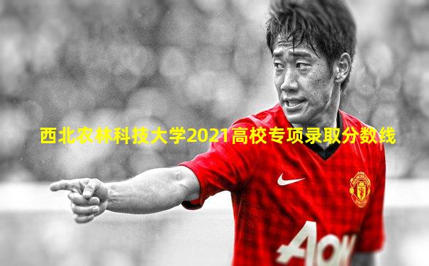 西北农林科技大学2021高校专项录取分数线