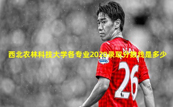 西北农林科技大学各专业2020录取分数线是多少