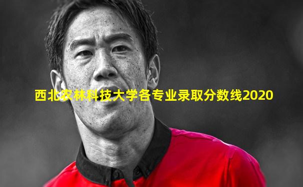 西北农林科技大学各专业录取分数线2020