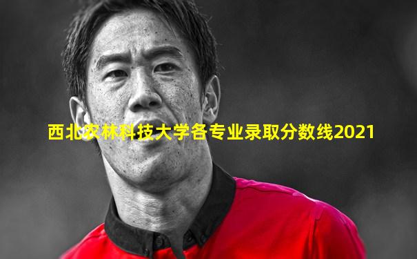 西北农林科技大学各专业录取分数线2021