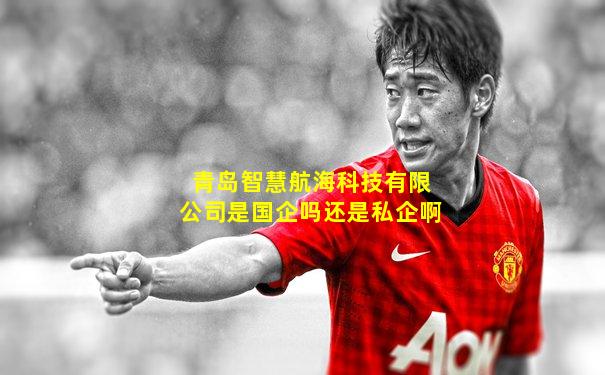 青岛智慧航海科技有限公司是国企吗还是私企啊